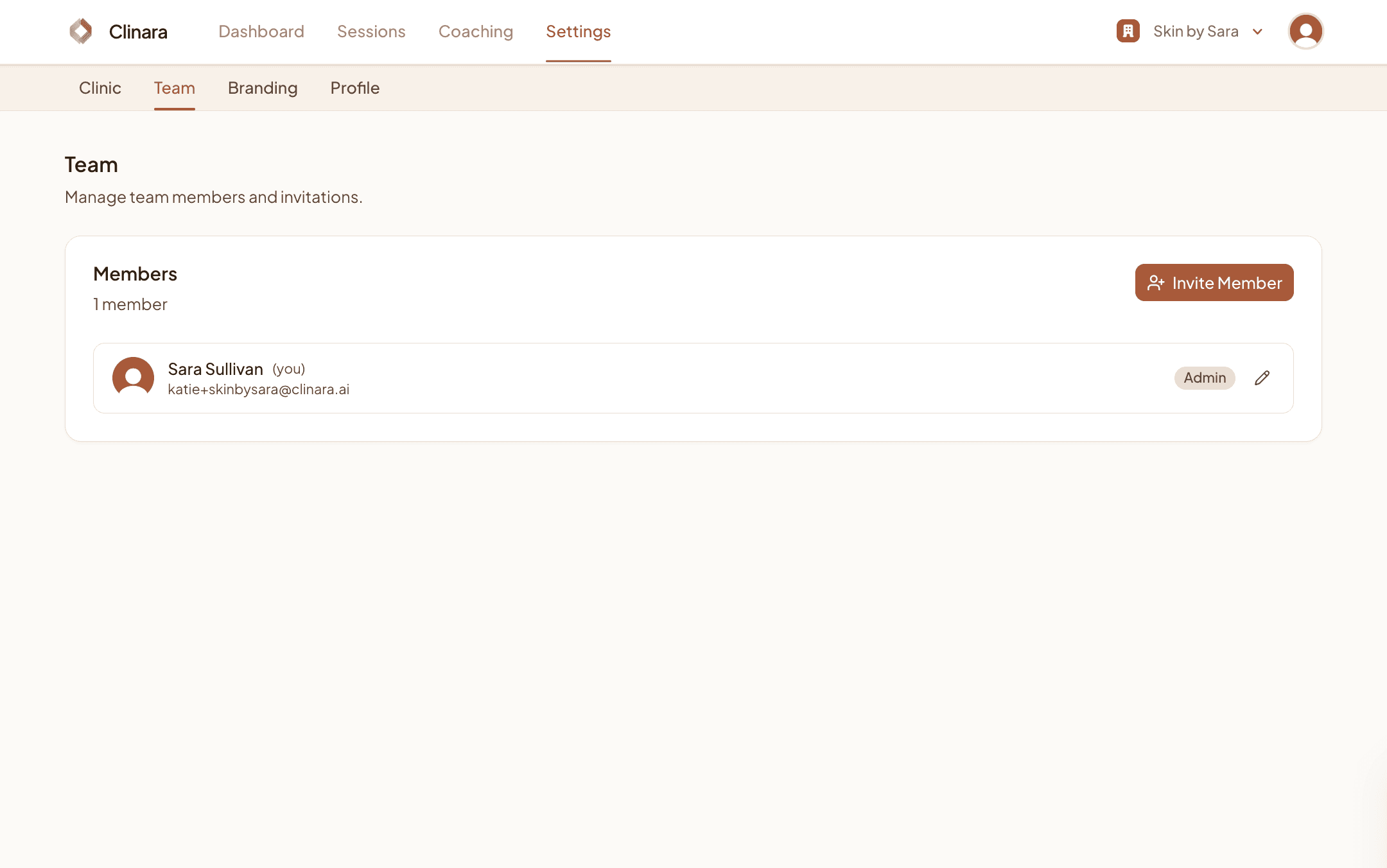 Team settings tab showing the admin as the only member
